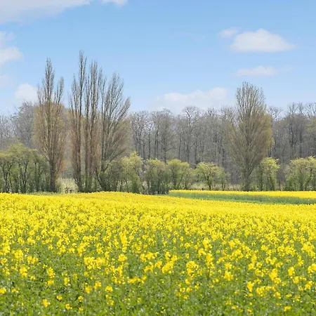 Apartment 2 Bedroom Awesome In Vejstrup